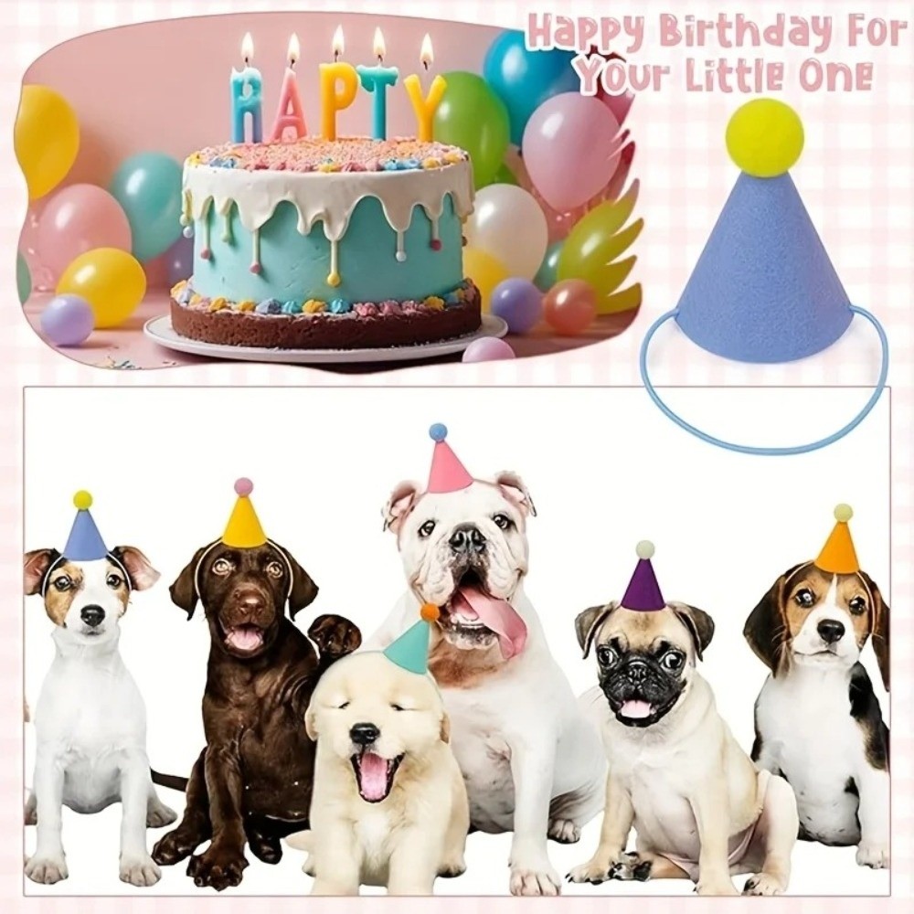 Neues 6-teiliges Set Mini-Part – Party Hat Cone Bewertung und Preis